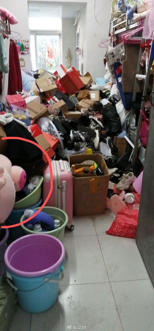 用宿舍没问题,把别人的东西随便扔领d们有事儿么